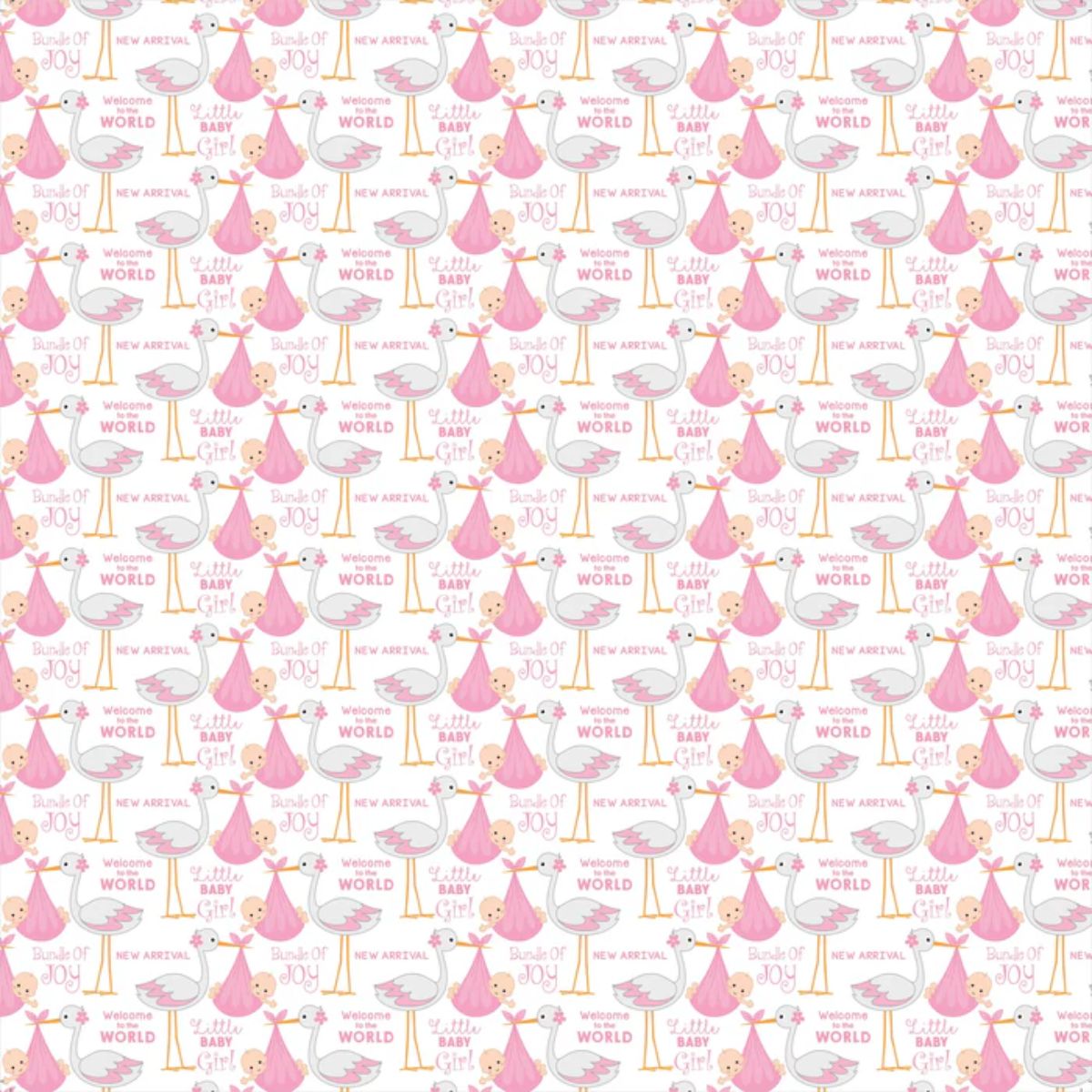 Baby Girl Cardstock Pack 6" / Paquete de 24 Hojas de Cartulina Pequeño Milagro Niña Papel Little Birdie