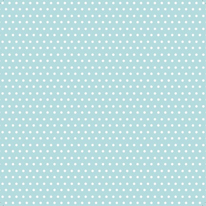 Baby Boy  Cardstock Pack 12&quot; / Paquete de 12 Hojas de Cartulina Bebé Niño Papel Little Birdie