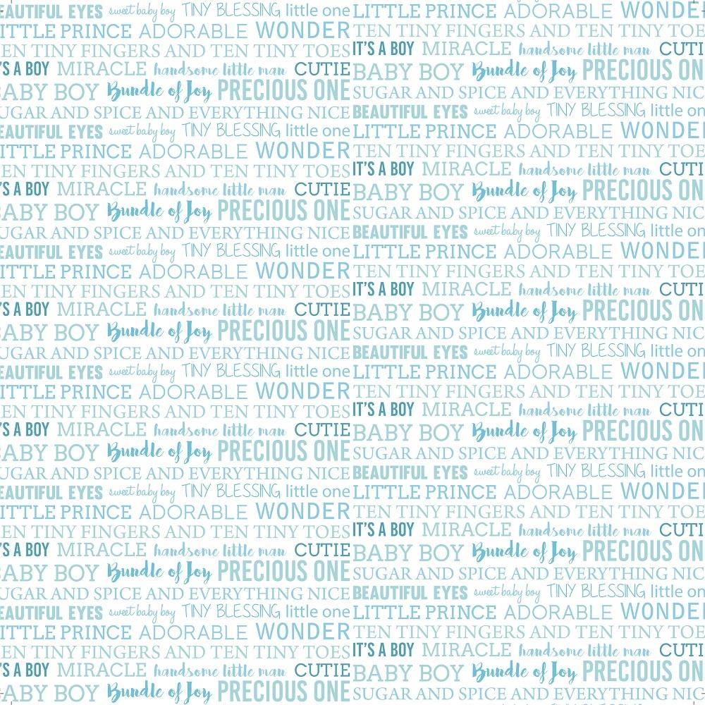 Baby Boy  Cardstock Pack 12&quot; / Paquete de 12 Hojas de Cartulina Bebé Niño Papel Little Birdie