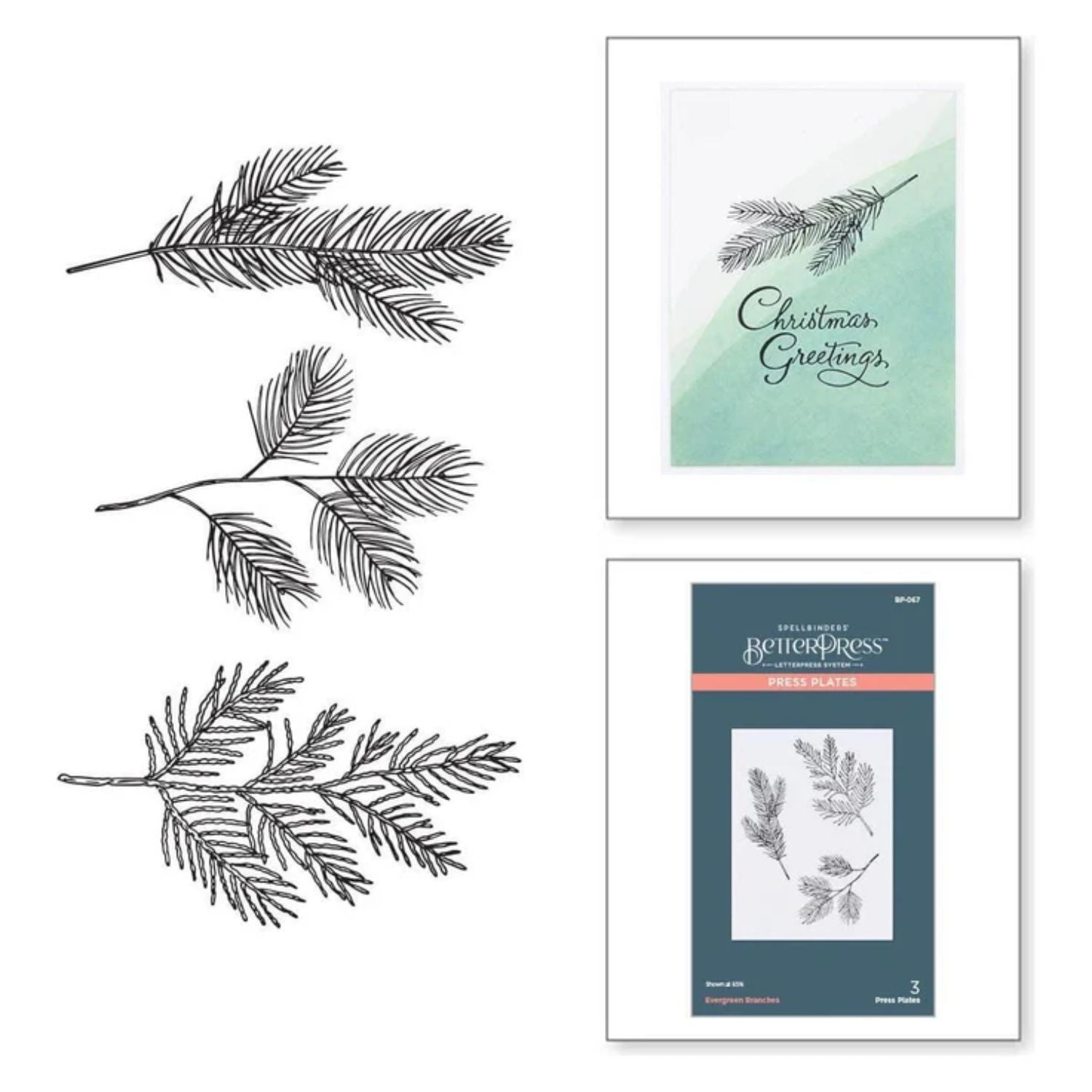 Evergreen Braches Press Plate / Placa De Prensa Ramas Perennes Accesorios para Suajadoras Spellbinders