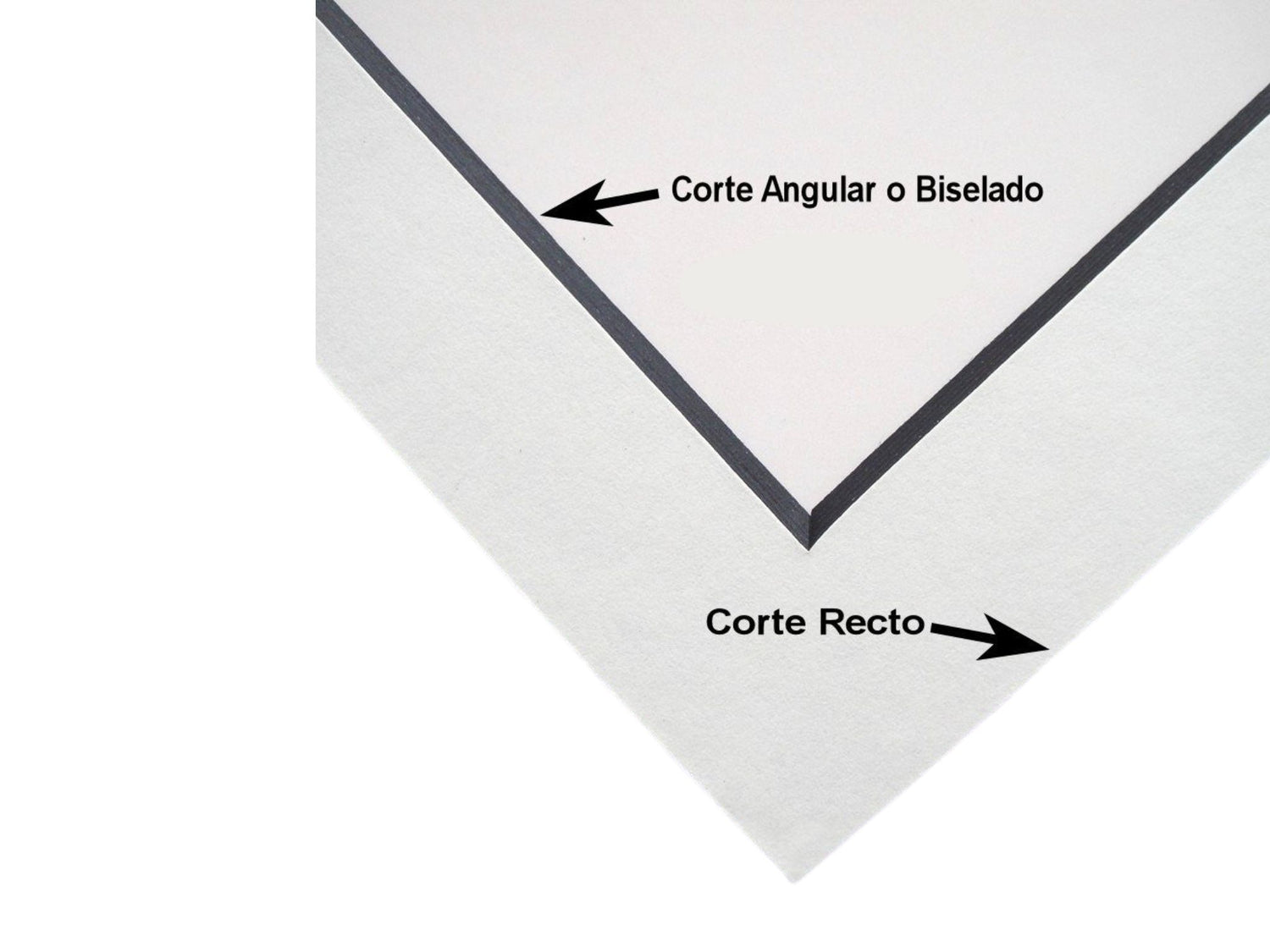 Logan 350-1 Compact Elite / Cortadora Profesional Para Marialuisas Cortadoras / Guillotinas Logan