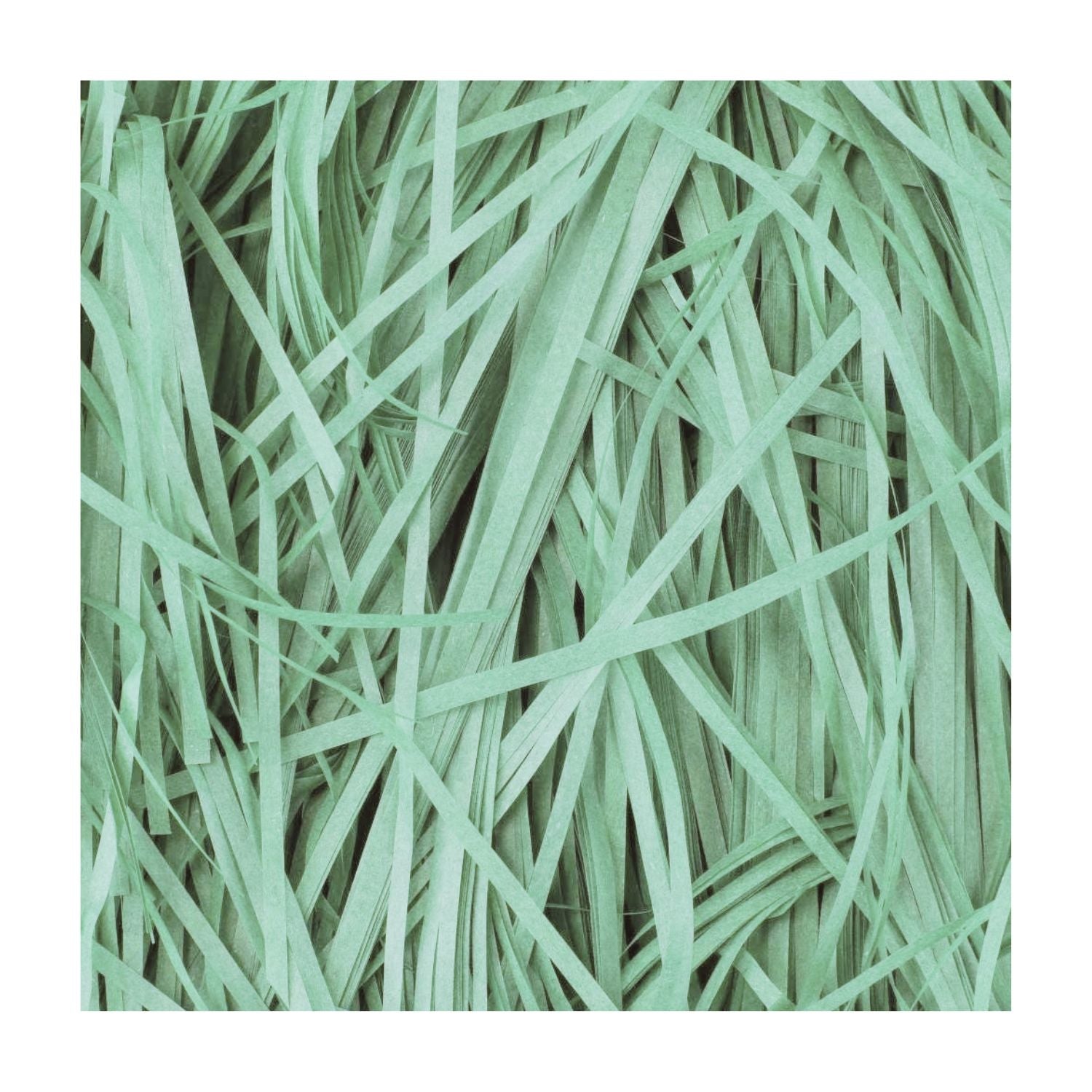 Papel China En Tiras Color Verde Pastel Fiestas Hobbees