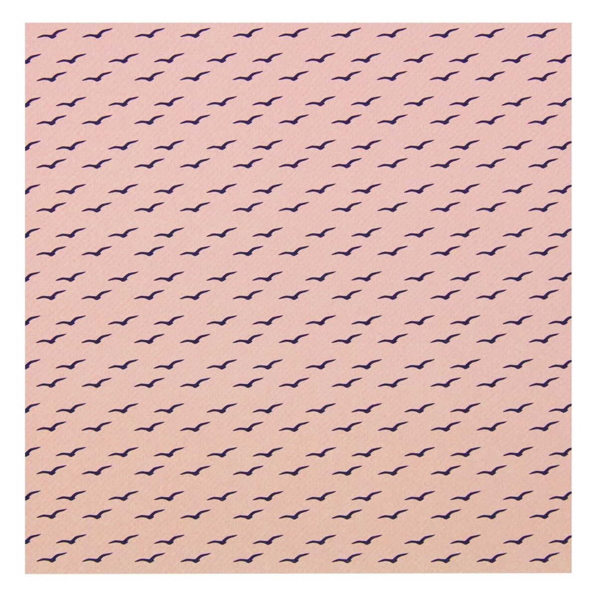 Mixed Card Pack Coral Skies / Papel en Tonos Azúl y Coral 6"x6" Papel Tonic Studios