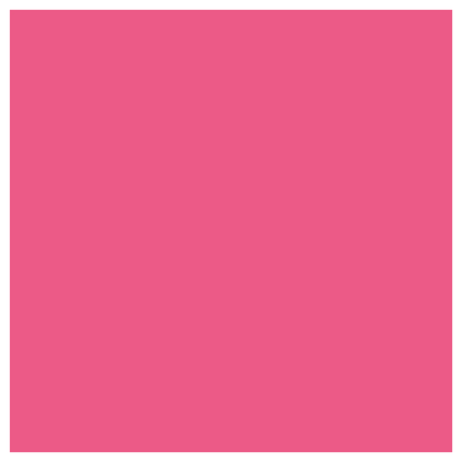 Rit Dye Liquid Fuchsia / Líquido para Teñir Fuchsia Pintura para Tela Rit