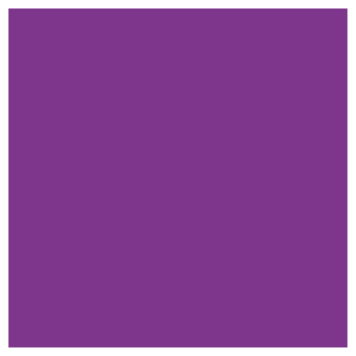 Rit Dye Liquid Purple / Líquido para Teñir Morado Pintura para Tela Rit