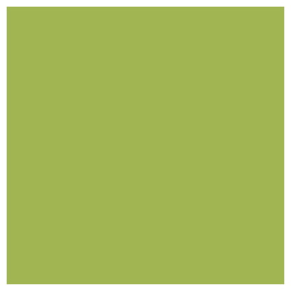 Rit Dye Liquid Apple Green / Líquido para Teñir Verde Manzana Pintura para Tela Rit