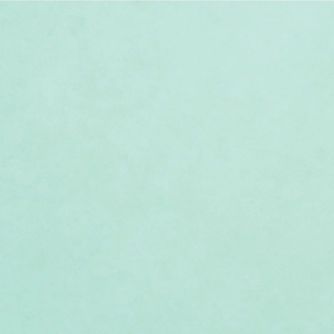 Cardstock Robin Foundations / 10 Cartulinas Color Robin Papel, Hojas Sueltas Core&