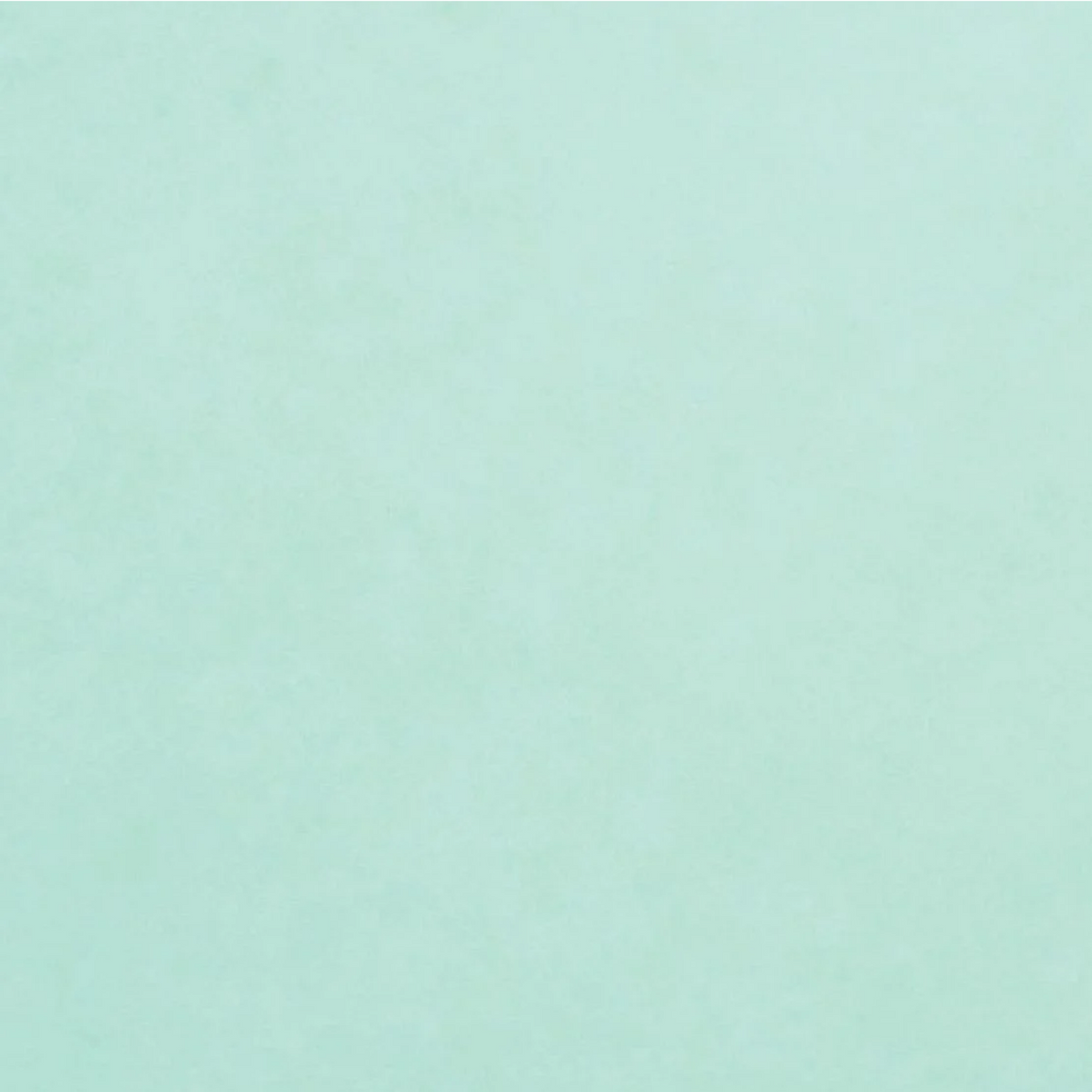 Cardstock Robin Foundations / 10 Cartulinas Color Robin Papel, Hojas Sueltas Core&