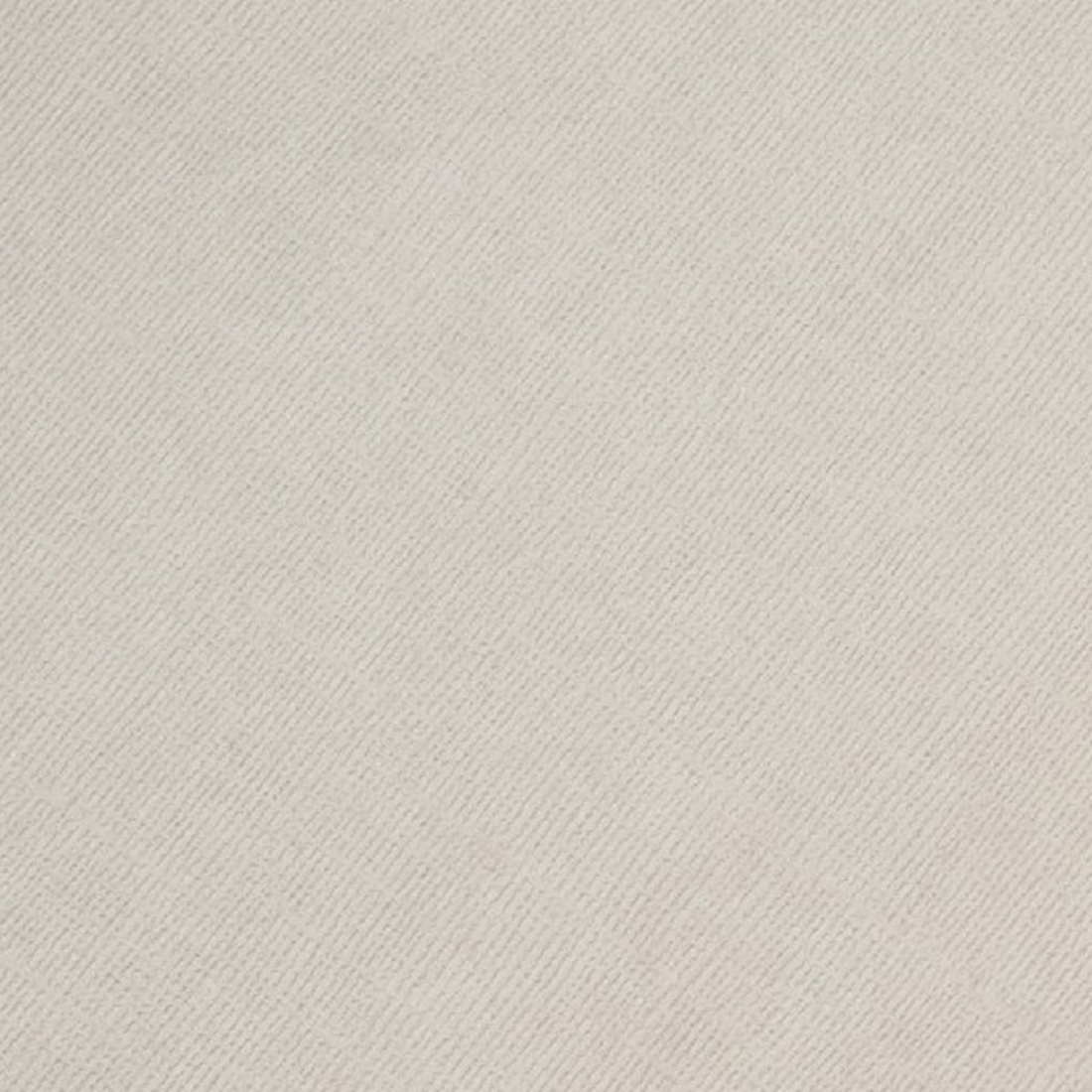 Cardstock Sea Otter Foundations / 10 Cartulinas Color Nutria Papel, Hojas Sueltas Core&
