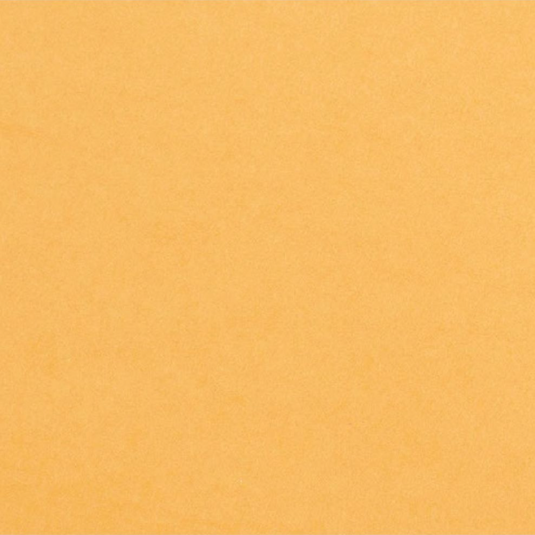 Cardstock Tiger Foundations / 10 Cartulinas Color Naranja Tigre Papel, Hojas Sueltas Core&