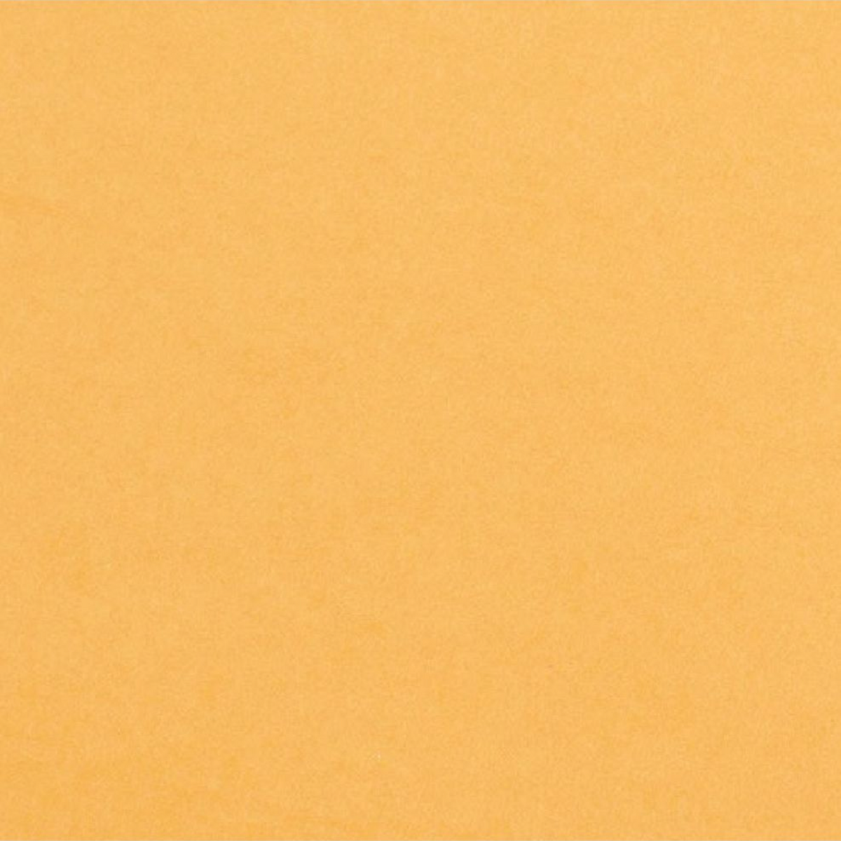 Cardstock Tiger Foundations / 10 Cartulinas Color Naranja Tigre Papel, Hojas Sueltas Core&