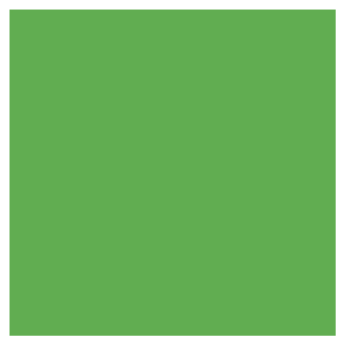 Rit Dye Liquid Truly Green / Líquido para Teñir Verde Truly Pintura para Tela Rit