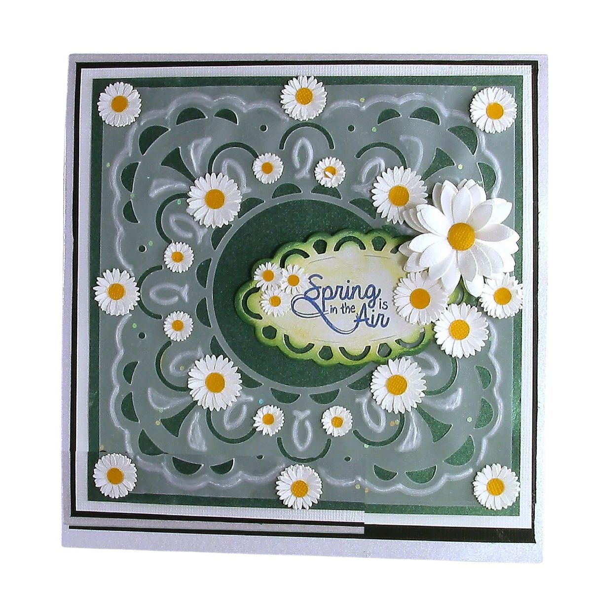 Suaje de Corte para Hacer Fondo Grande de Escalopa / Extravagance Dados de Corte / Suajes / Troqueles Crafter&