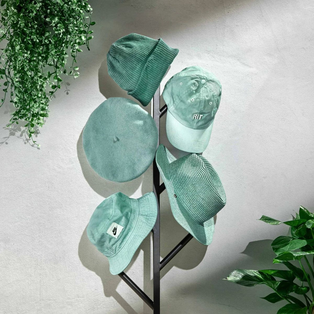 Rit Dye Liquid Sage Green / LÃquido para Teñir Verde Salvia Pintura para Tela Rit