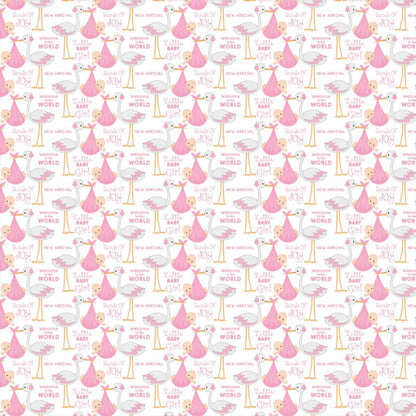 Baby Girl Cardstock Pack 6&quot; / Paquete de 24 Hojas de Cartulina Pequeño Milagro Niña Papel Little Birdie