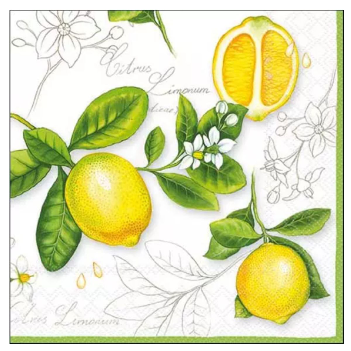 Servilleta de Papel Citrus Limonum 
