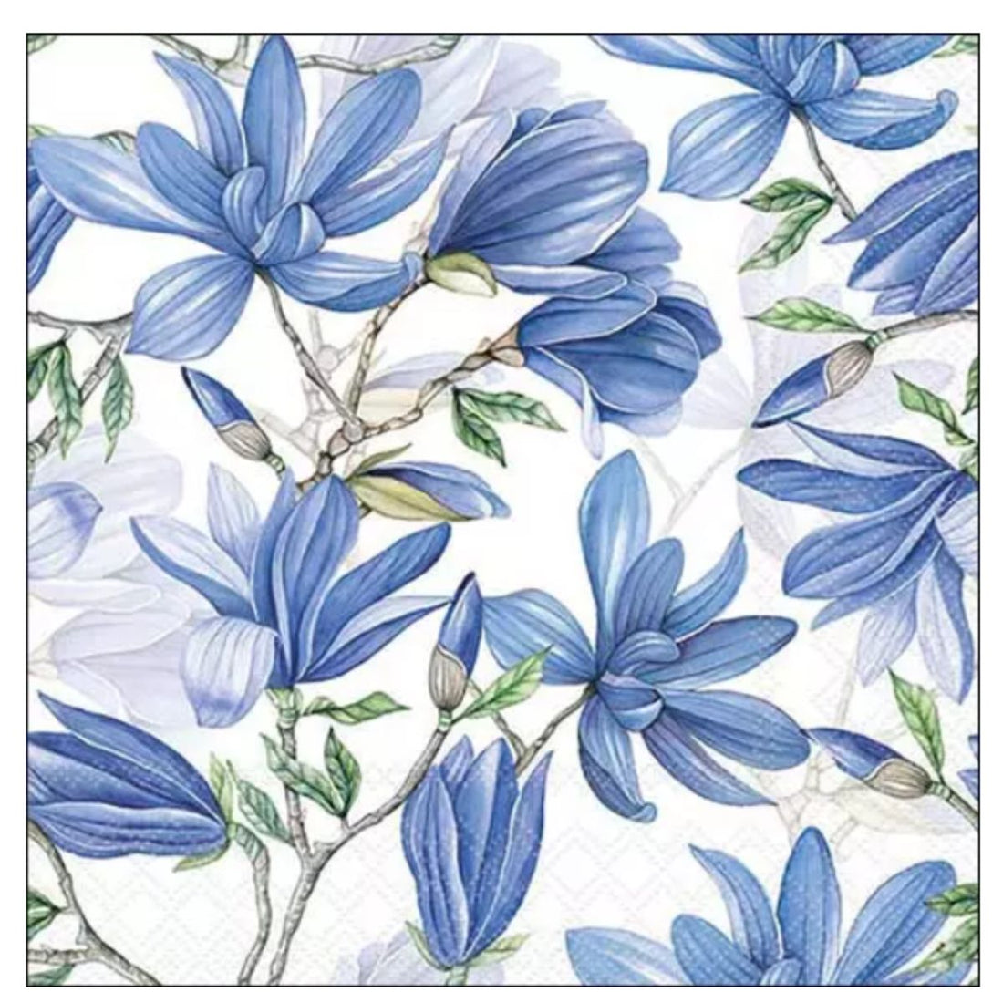 Servilleta de Papel Magnolia Acuminata White 