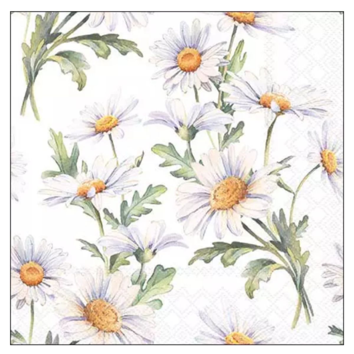 Servilleta de Papel Beautiful Daisies White 