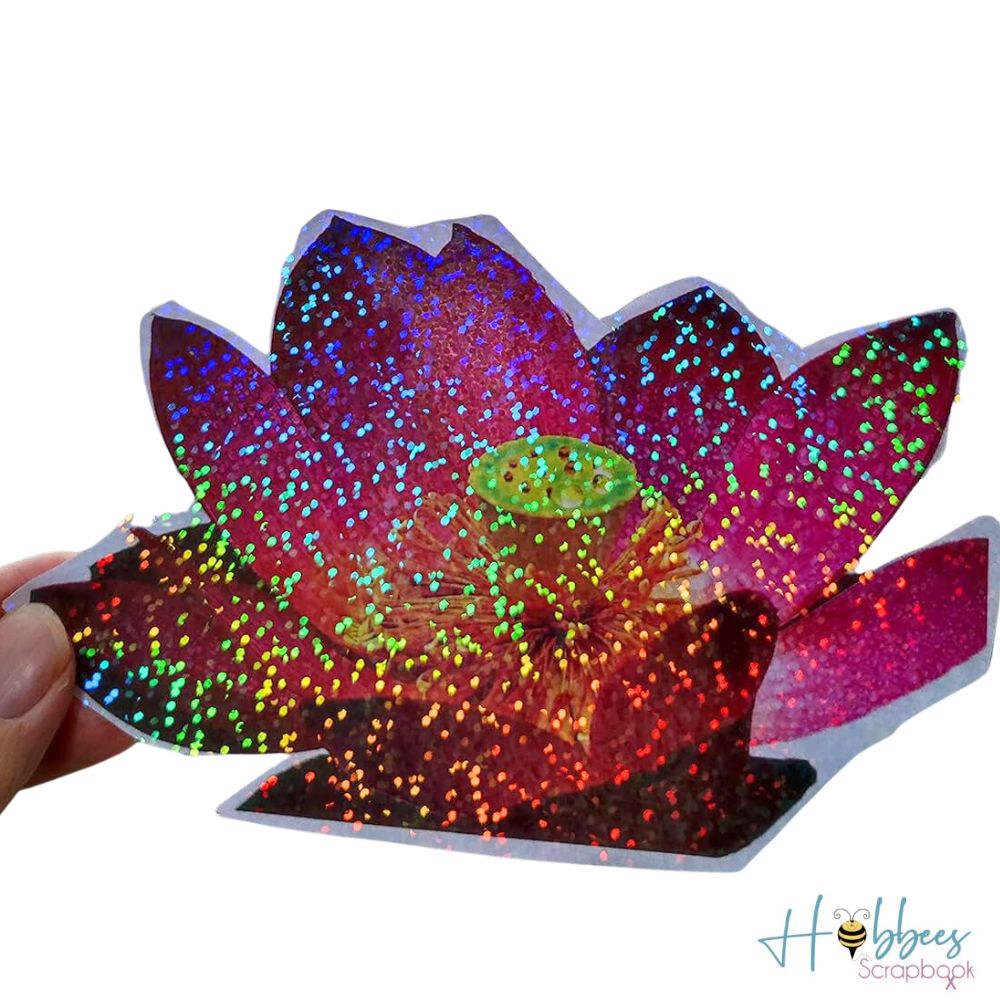 5 Hojas de Laminado en FrÃo de Glitter Holográficos Acetato y Especializados Hobbees