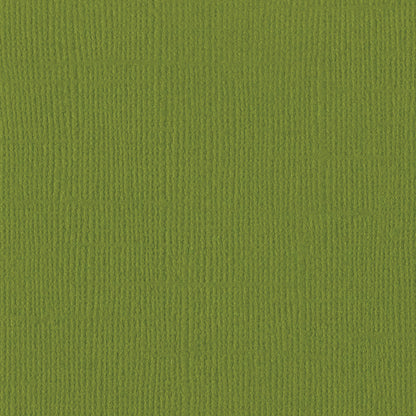 Hillary Cardstock / Hola de Cartulina Verde Papel, Hojas Sueltas Bazzill