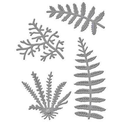 Shapeabilities Die D-Lites Ferns  / Suaje de Helechos Descontinuado Spellbinders