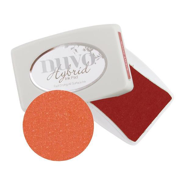 Kit Especial Para Estampar Descontinuado Nuvo