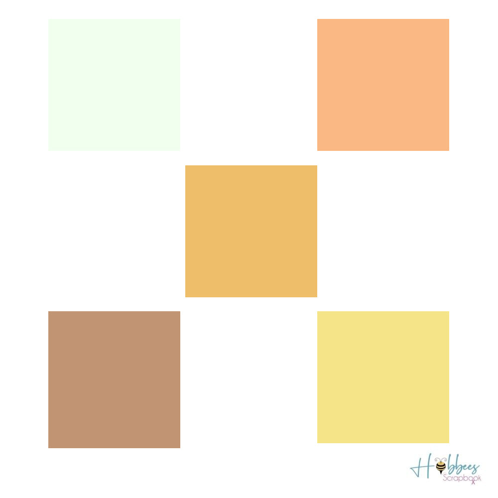 White Promenade Smooth Cardstock / Block de Cartulina Colores Nude 12" Papel Colorbok