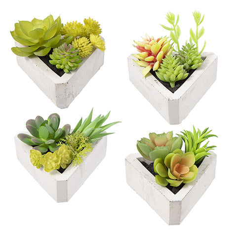 Potted Succulent / Suculentas de Ornato Descontinuado Darice