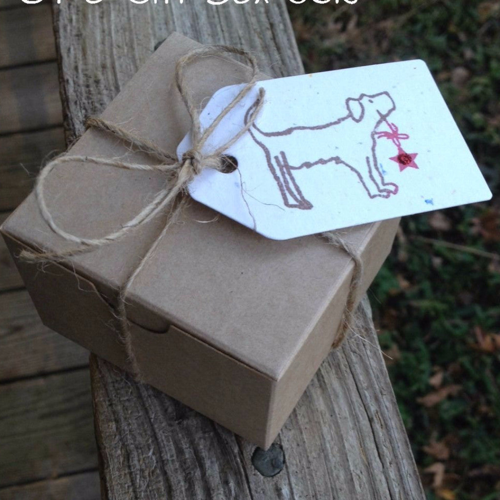Twine Box Set / Caja de Hilos y Etiquetas de Navidad Descontinuado American Crafts