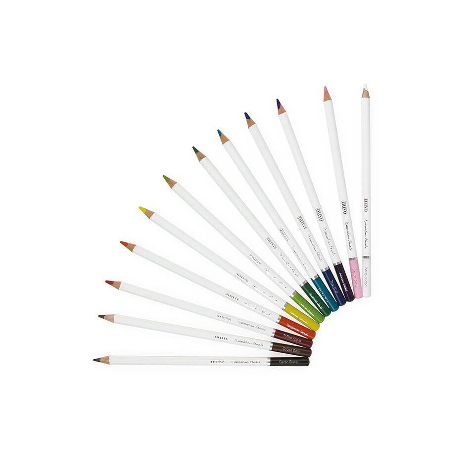 Watercolor Pencils Brilliantly Vibrant / 12 Lápices Acuarelables Colores y Plumones Tonic Studios