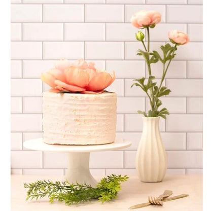 ShotBox ShotDrop Kit  / Kit de Fondos para Fotos Accesorios We R Memory Keepers