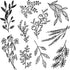 Clear Stamps Sweet Sprigs / Sellos de Polímero Espigas Descontinuado Prima Marketing