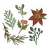 Tim Holtz Thinlits Large Funky Die / Suajes de Flores de Festividades Descontinuado Sizzix