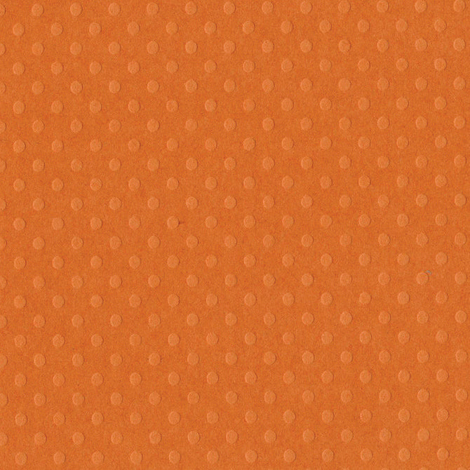 Festive Dotted Swiss / Cartulina de Puntos Suizos Descontinuado Bazzill