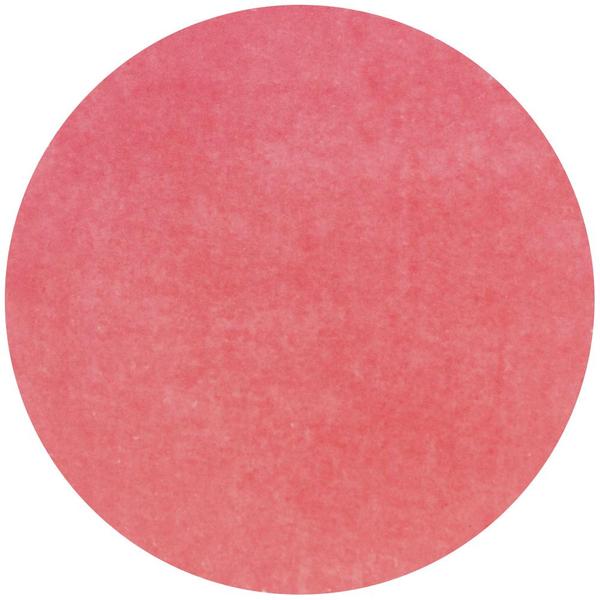 Diamond Hybrid Ink Pads Tropical Fruits / Set de Tintas para Sellos Descontinuado Nuvo