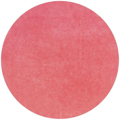 Diamond Hybrid Ink Pads Tropical Fruits / Set de Tintas para Sellos Descontinuado Nuvo