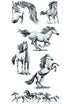 Sellos de Polímero de Caballos / Horses 99540 Descontinuado Inkadinkado