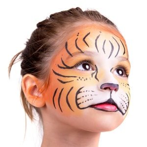Face Painting Party Set / Juego de Maquillaje de Fantasía Descontinuado Snazaroo