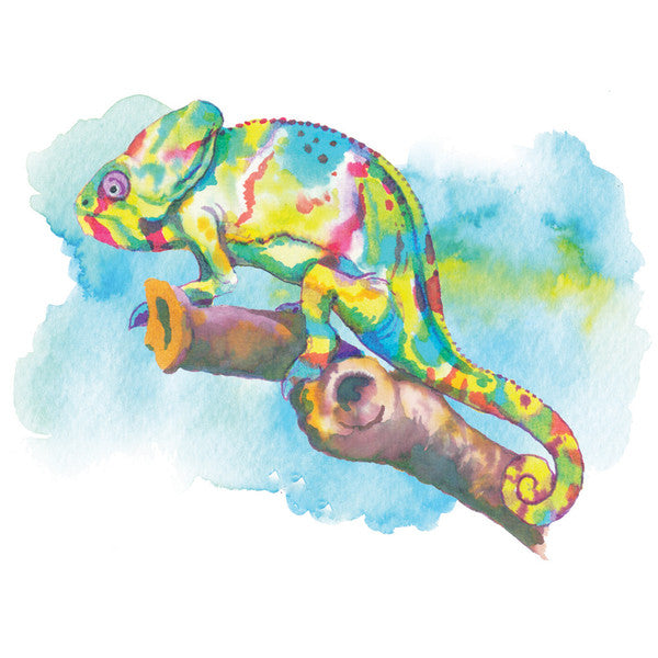 Aqua by Spectrum Noir Primary / Marcadores de Artista Acuarelables Marcadores &amp; Plumones Crafter&