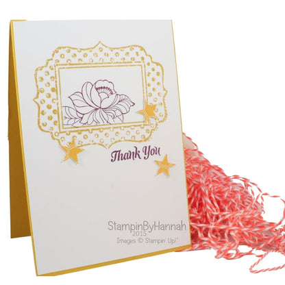 Fun Frames Embossing Folders / 2 Folders de Grabado de Marcos Decorados Folders de Grabado Stampin Up!