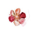 Plantilla para hacer flores de tela / Kanzashi Round petal small Descontinuado Clover