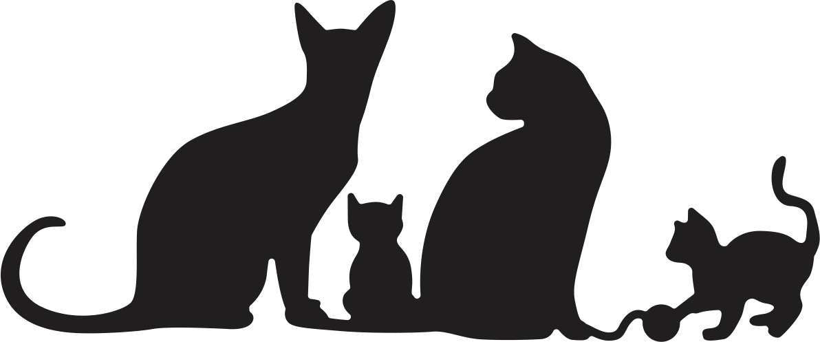 Suaje de Corte de Gato / Kitty Kitty Meow Meow DESCONTINUADO Cheery Lynn Designs