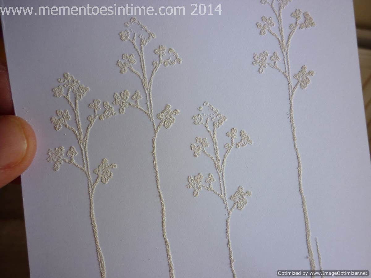 White Embossing Powder / Polvos de Realce Blanco Polvos de Embossing Ranger
