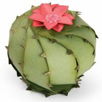 2D &amp; 3D Succulents Dies / Suaje de Suculentas Descontinuado Sizzix