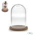 DIY Clear Plastic Dome With Wood Base / Cúpula de Plástico con Base de Madera Adornos / Embellishments Multicraft Imports