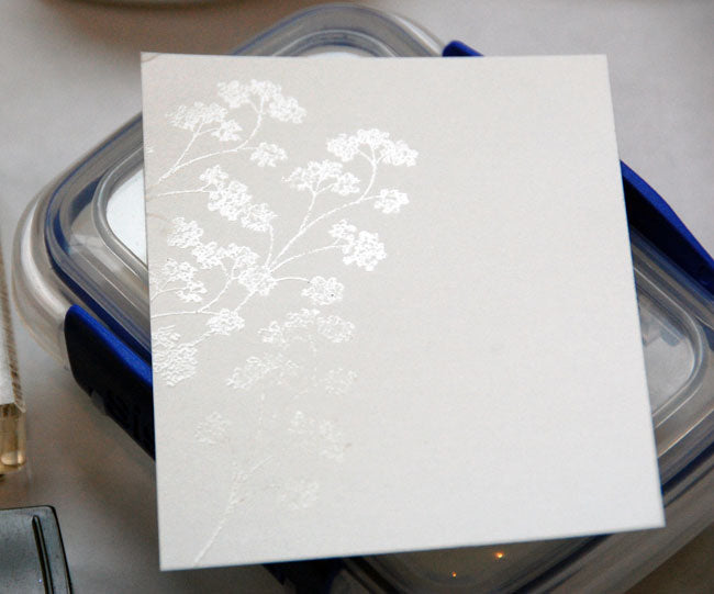 Detail White Opaque Embossing Powder / Polvo de Realce Detalle Blanco Opaco Polvos de Embossing Stampendous
