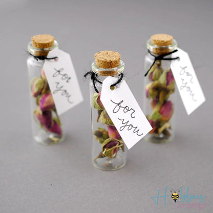6 Frasquitos de Vidrio con Tapa de Corcho 10ml Descontinuado Hobbees