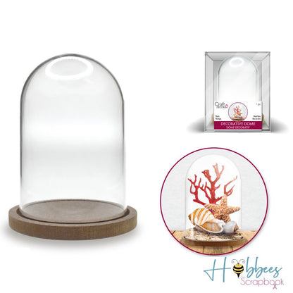 DIY Clear Plastic Dome With Wood Base / Cúpula de Plástico con Base de Madera Adornos / Embellishments Multicraft Imports