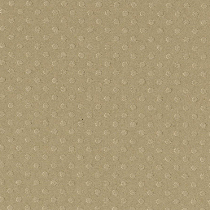 Rope Swing Dotted Swiss / Cartulina de Puntos Suizos Papel, Hojas Sueltas Bazzill