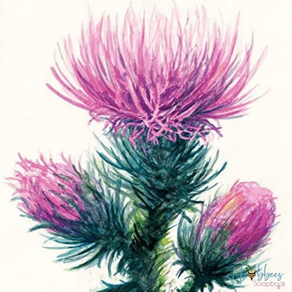 Strathmore Watercolor Paper Pad 12 x 18&quot; / Papel para Acuarela Papel para Arte Strathmore